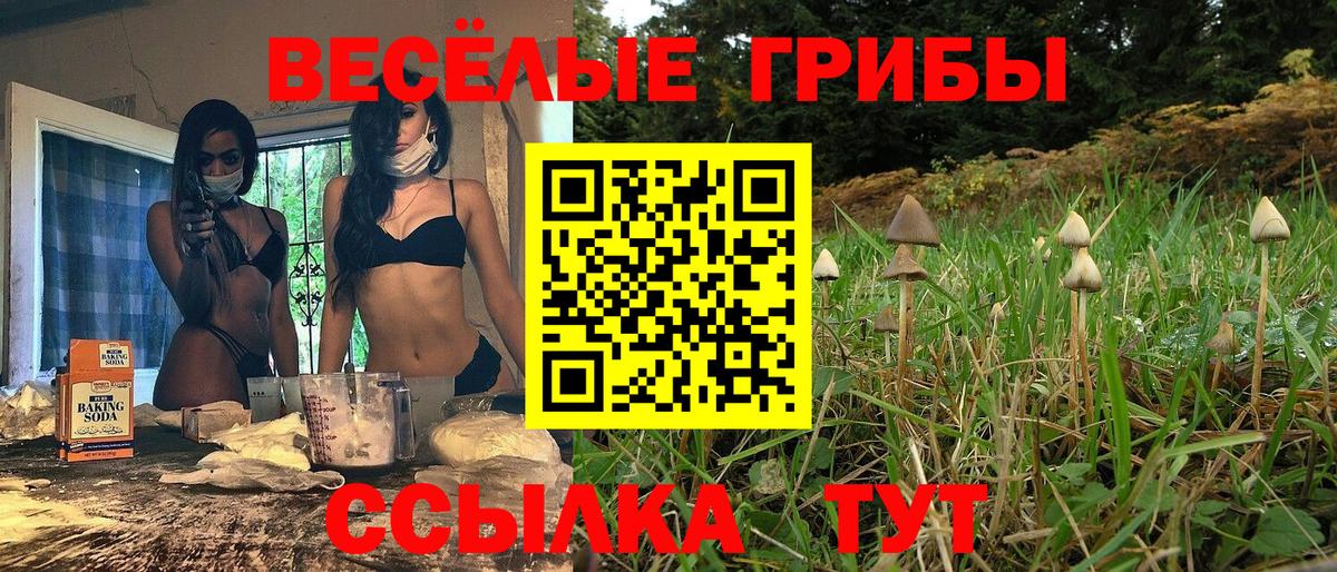 Псилоцибиновые грибы прущие грибы  Вход с VPN  Галлюциногенные грибы MAGIC MUSHROOMS  Арзамас 